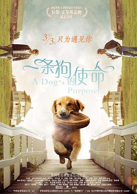 布鲁伊第一季国语免费
